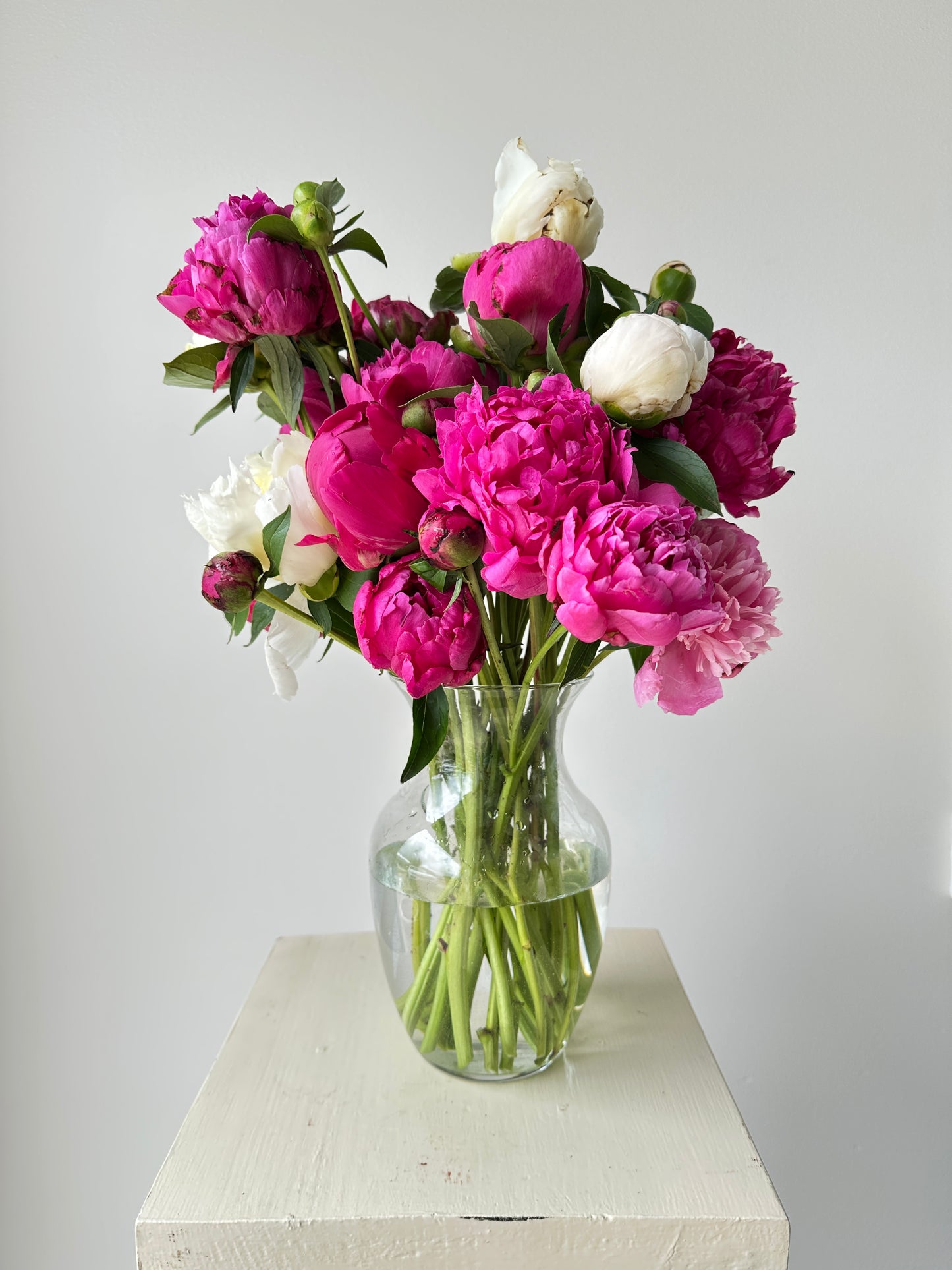 United Way Adoration Peony Vase Arrangement - Large