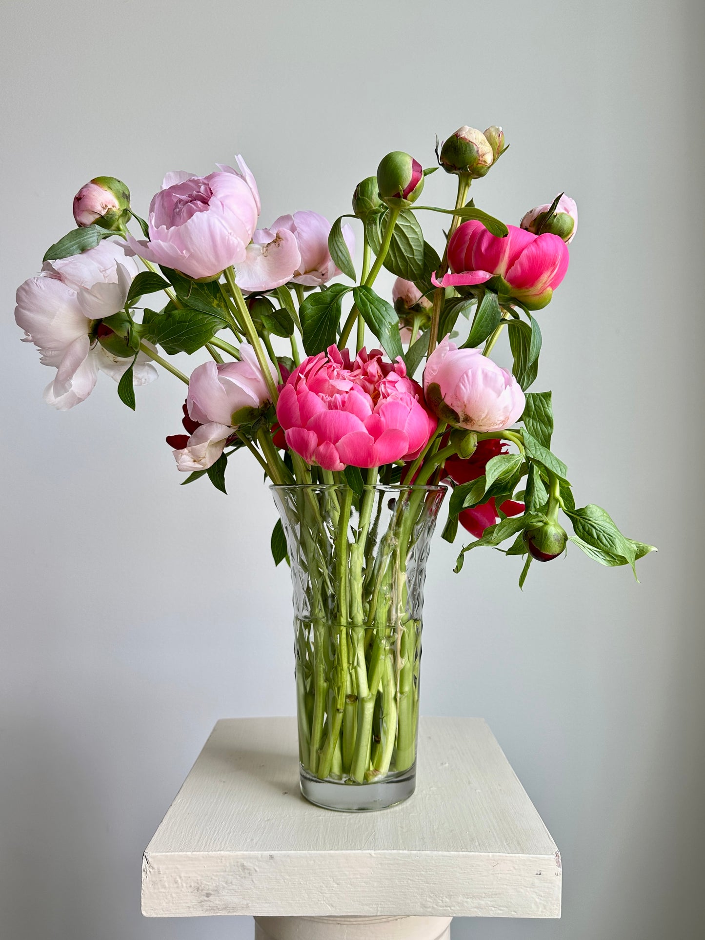 United Way Adoration Peony Vase Arrangement - Large