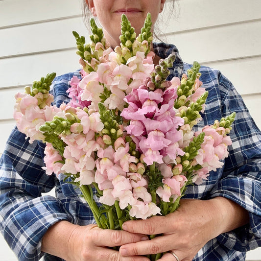 January's Garden Rhythm