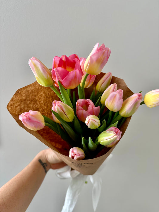 Poise Valentine's Day Tulips