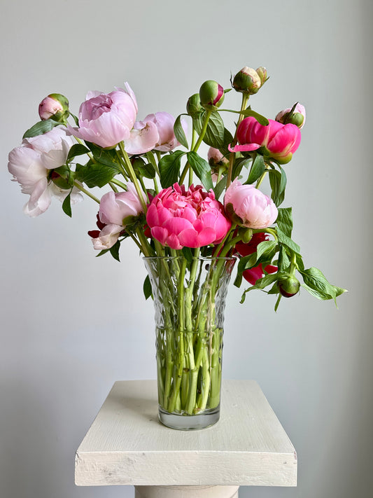 United Way Adoration Peony Vase Arrangement - Large